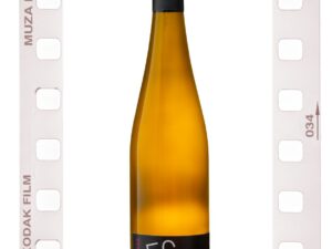 2024 Lorchhäuser Seligmacher Roter Riesling Trocken